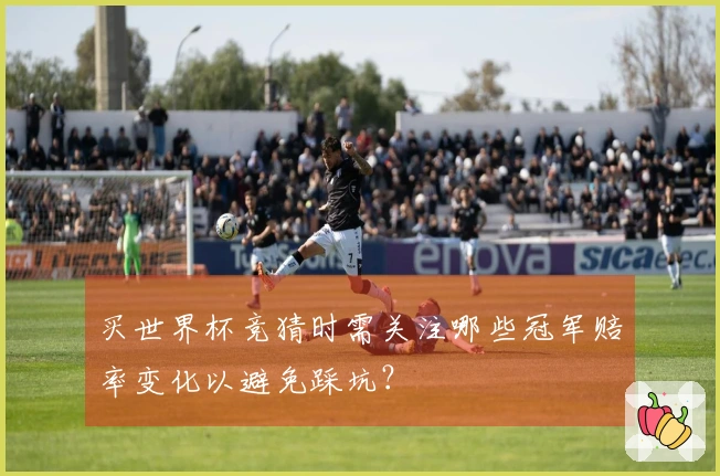 买世界杯竞猜时需关注哪些冠军赔率变化以避免踩坑？