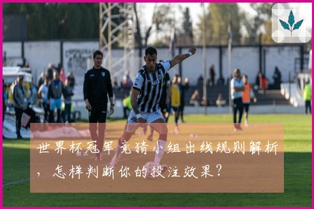 世界杯冠军竞猜小组出线规则解析，怎样判断你的投注效果？